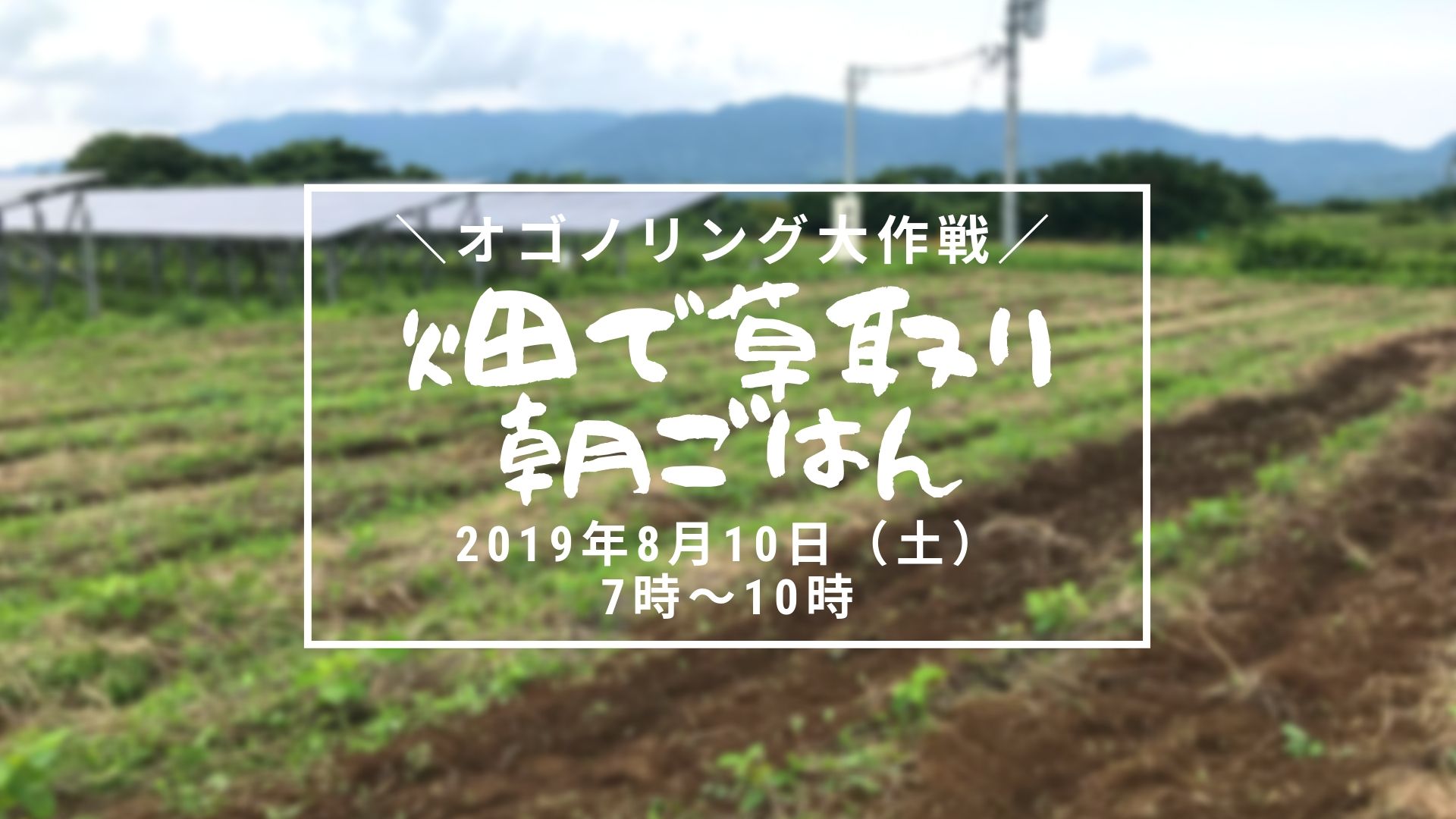 終了しました オゴノリング大作戦 大豆 畑で草取り朝ごはん 認定npo法人自然再生センター